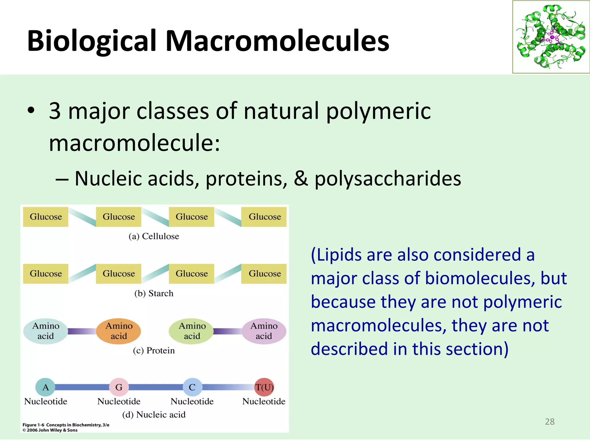 Biological Macromolecules
• 3 major classes of natural polymeric
macromolecule:
– Nucleic acids, proteins, & polysaccharides
28
(Lipids are also considered a
major class of biomolecules, but
because they are not polymeric
macromolecules, they are not
described in this section)
 