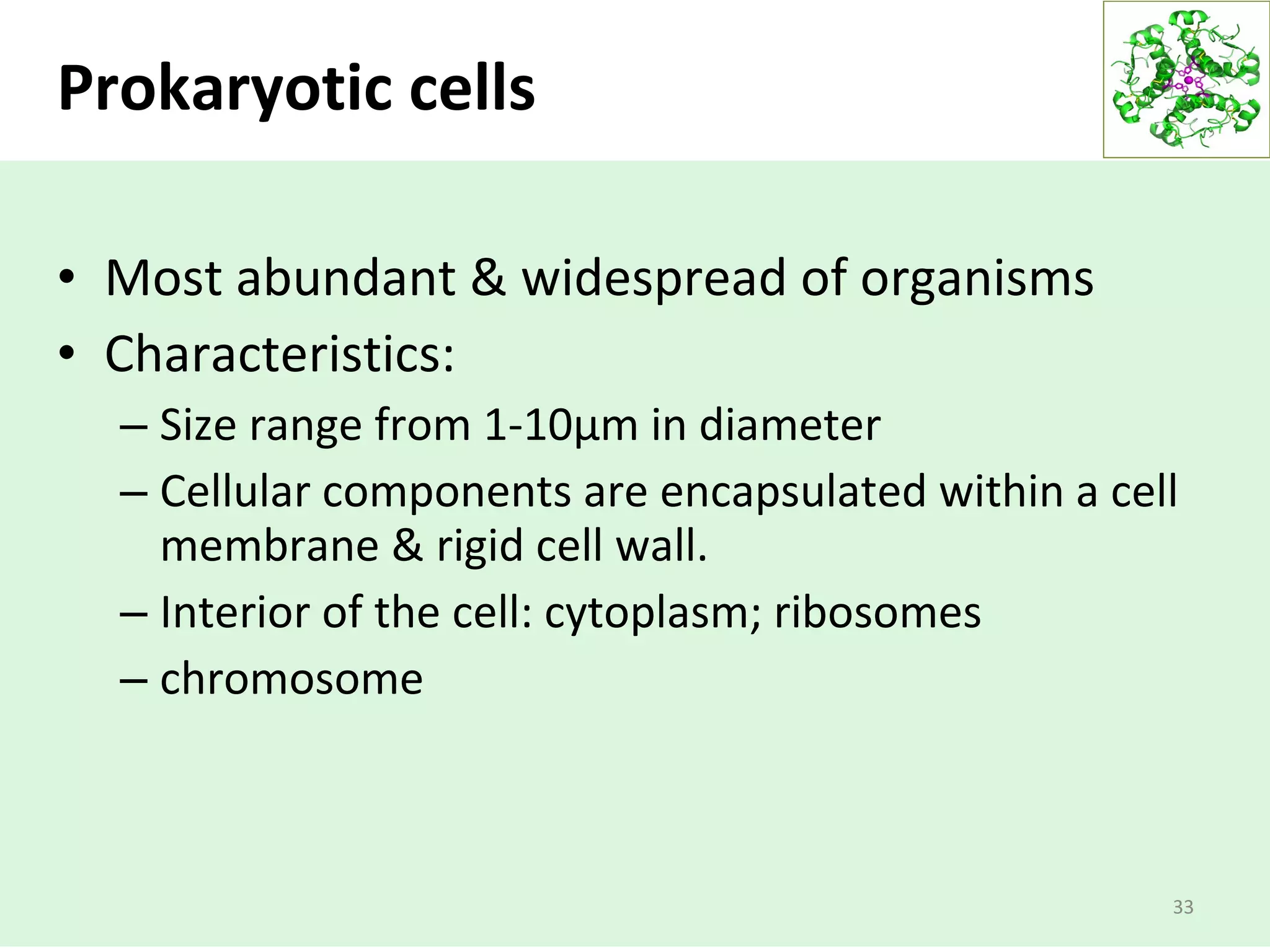 Prokaryotic cells
• Most abundant & widespread of organisms
• Characteristics:
– Size range from 1-10μm in diameter
– Cellular components are encapsulated within a cell
membrane & rigid cell wall.
– Interior of the cell: cytoplasm; ribosomes
– chromosome
33
 