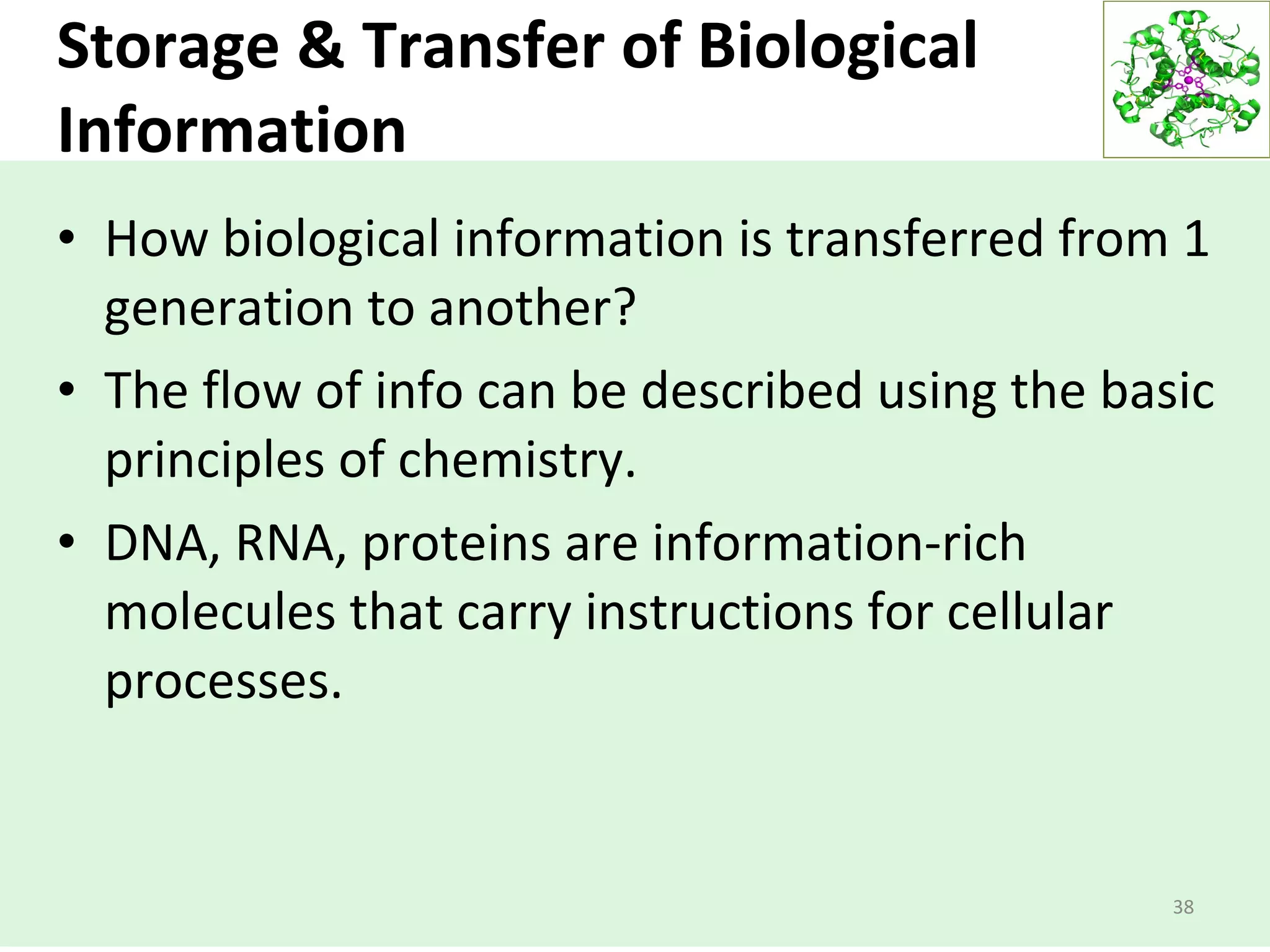 Storage & Transfer of Biological
Information
• How biological information is transferred from 1
generation to another?
• The flow of info can be described using the basic
principles of chemistry.
• DNA, RNA, proteins are information-rich
molecules that carry instructions for cellular
processes.
38
 