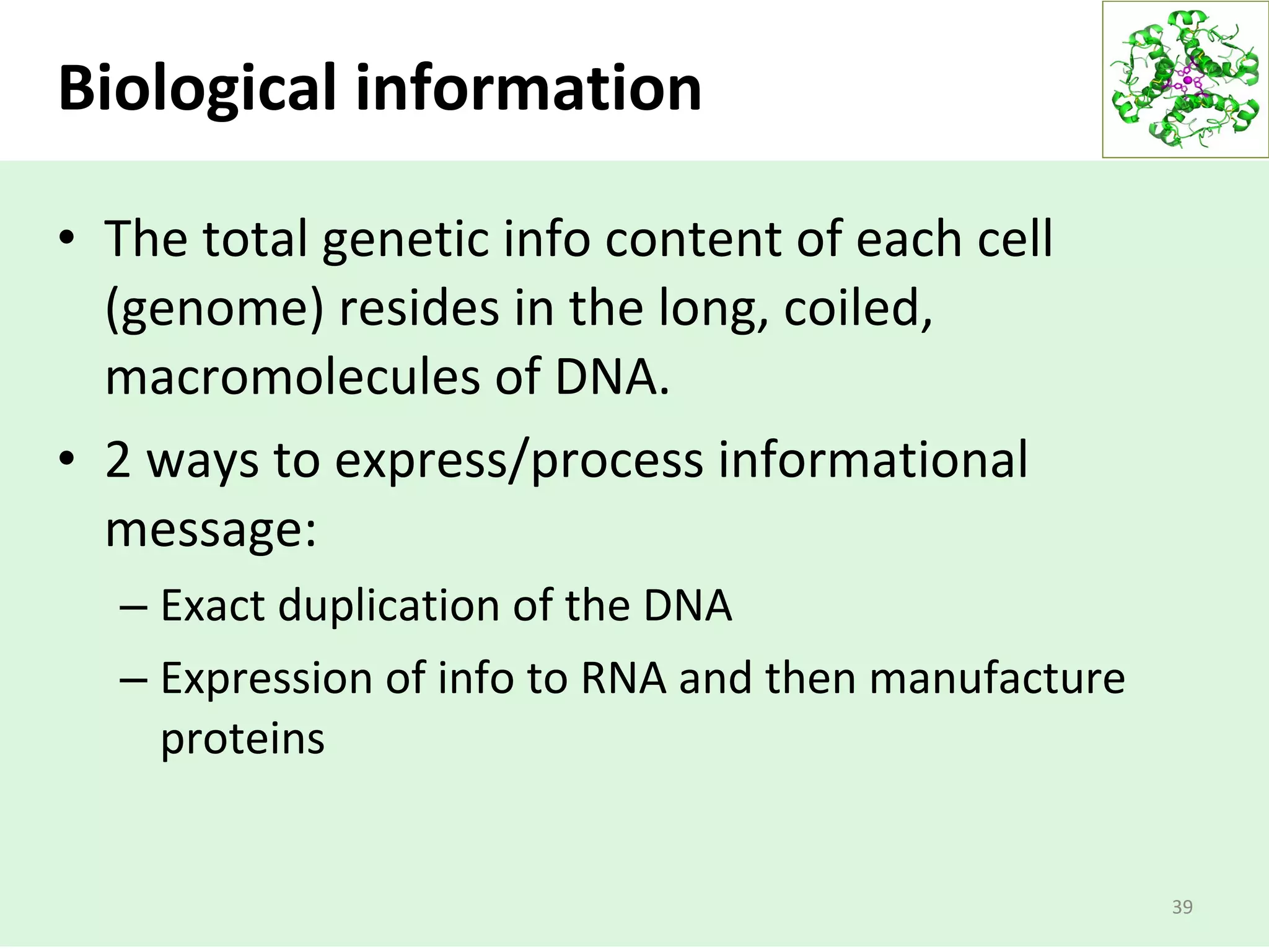 Biological information
• The total genetic info content of each cell
(genome) resides in the long, coiled,
macromolecules of DNA.
• 2 ways to express/process informational
message:
– Exact duplication of the DNA
– Expression of info to RNA and then manufacture
proteins
39
 