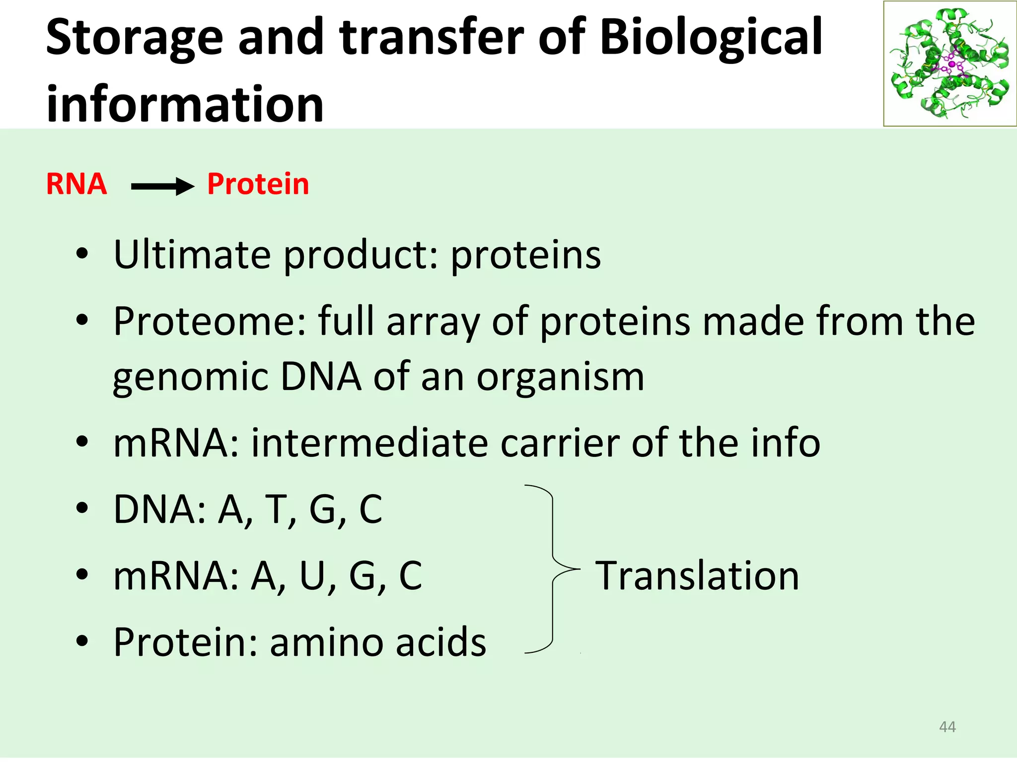 Storage and transfer of Biological
information
RNA Protein
44
• Ultimate product: proteins
• Proteome: full array of proteins made from the
genomic DNA of an organism
• mRNA: intermediate carrier of the info
• DNA: A, T, G, C
• mRNA: A, U, G, C Translation
• Protein: amino acids
 