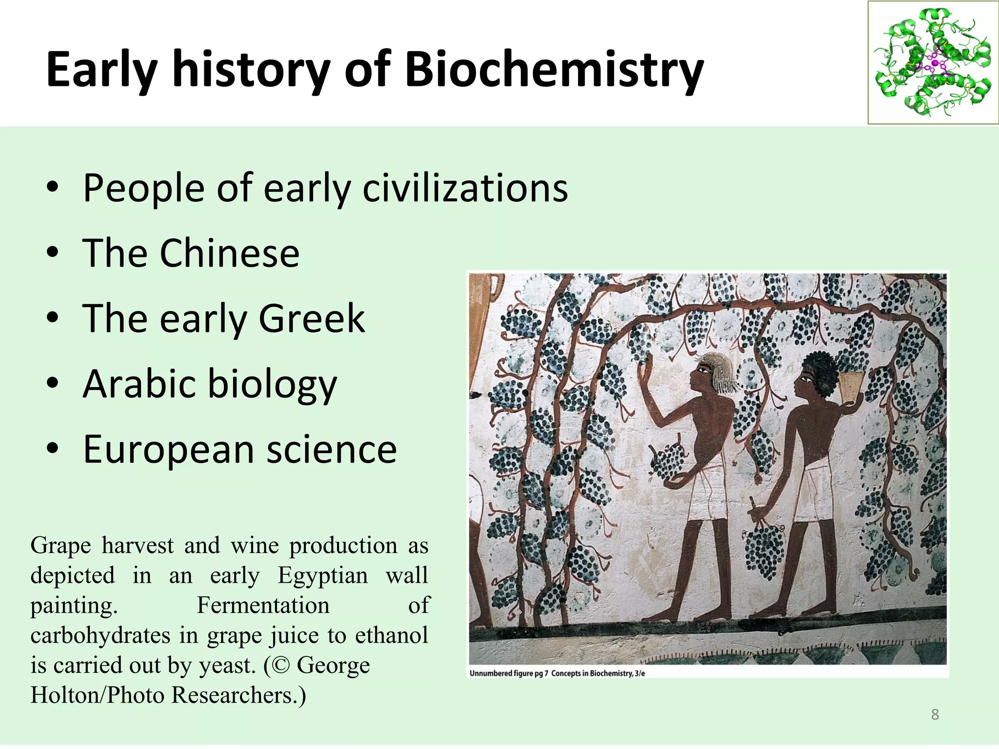 Early history of Biochemistry
• People of early civilizations
• The Chinese
• The early Greek
• Arabic biology
• European science
8
Grape harvest and wine production as
depicted in an early Egyptian wall
painting. Fermentation of
carbohydrates in grape juice to ethanol
is carried out by yeast. (© George
Holton/Photo Researchers.)
 