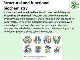 Structural and functional
biochemistry
1. Structural and functional biochemistry focuses initially on
discovering the chemical structures and three-dimensional
arrangements of biomolecules, those chemicals that are found in
living matter. To describe biological processes, one must have a
knowledge of the molecular structures of the participating
biomolecules, which then often leads to an understanding of the
function or purpose of the cellular molecules.
13
 