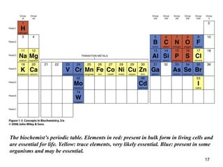 The biochemist’s periodic table. Elements in red: present in bulk form in living cells and
are essential for life. Yellow: trace elements, very likely essential. Blue: present in some
organisms and may be essential.
17
 