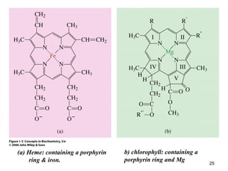 (a) Heme: containing a porphyrin
ring & iron.
b) chlorophyll: containing a
porphyrin ring and Mg
25
 