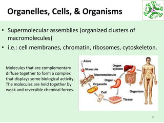 Organelles, Cells, & Organisms
• Supermolecular assemblies (organized clusters of
macromolecules)
• i.e.: cell membranes, chromatin, ribosomes, cytoskeleton.
31
Molecules that are complementary
diffuse together to form a complex
that displays some biological activity.
The molecules are held together by
weak and reversible chemical forces.
 