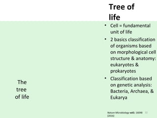 Tree of
life
• Cell = fundamental
unit of life
• 2 basics classification
of organisms based
on morphological cell
structure & anatomy:
eukaryotes &
prokaryotes
• Classification based
on genetic analysis:
Bacteria, Archaea, &
Eukarya
32
The
tree
of life
Nature Microbiology vol1: 16048
(2016)
 