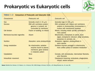 Prokaryotic vs Eukaryotic cells
37
 
