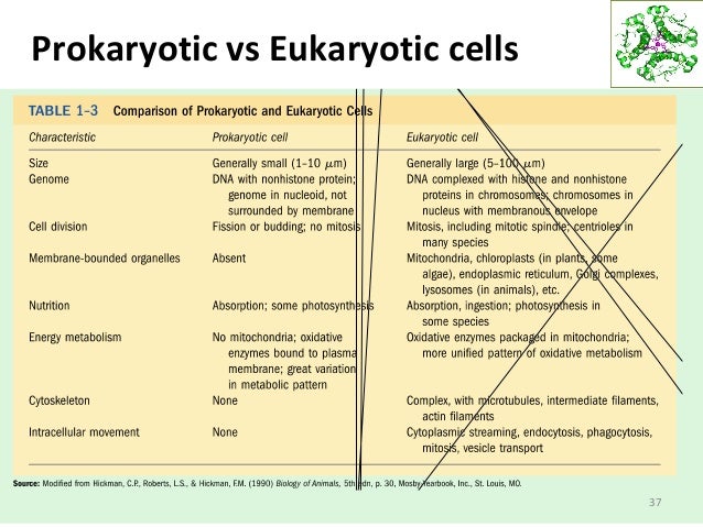 Lecture 1