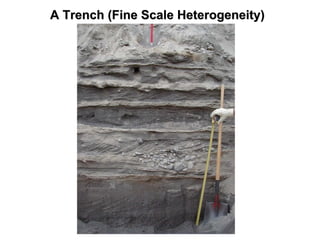 A Trench (Fine Scale Heterogeneity)A Trench (Fine Scale Heterogeneity)
 