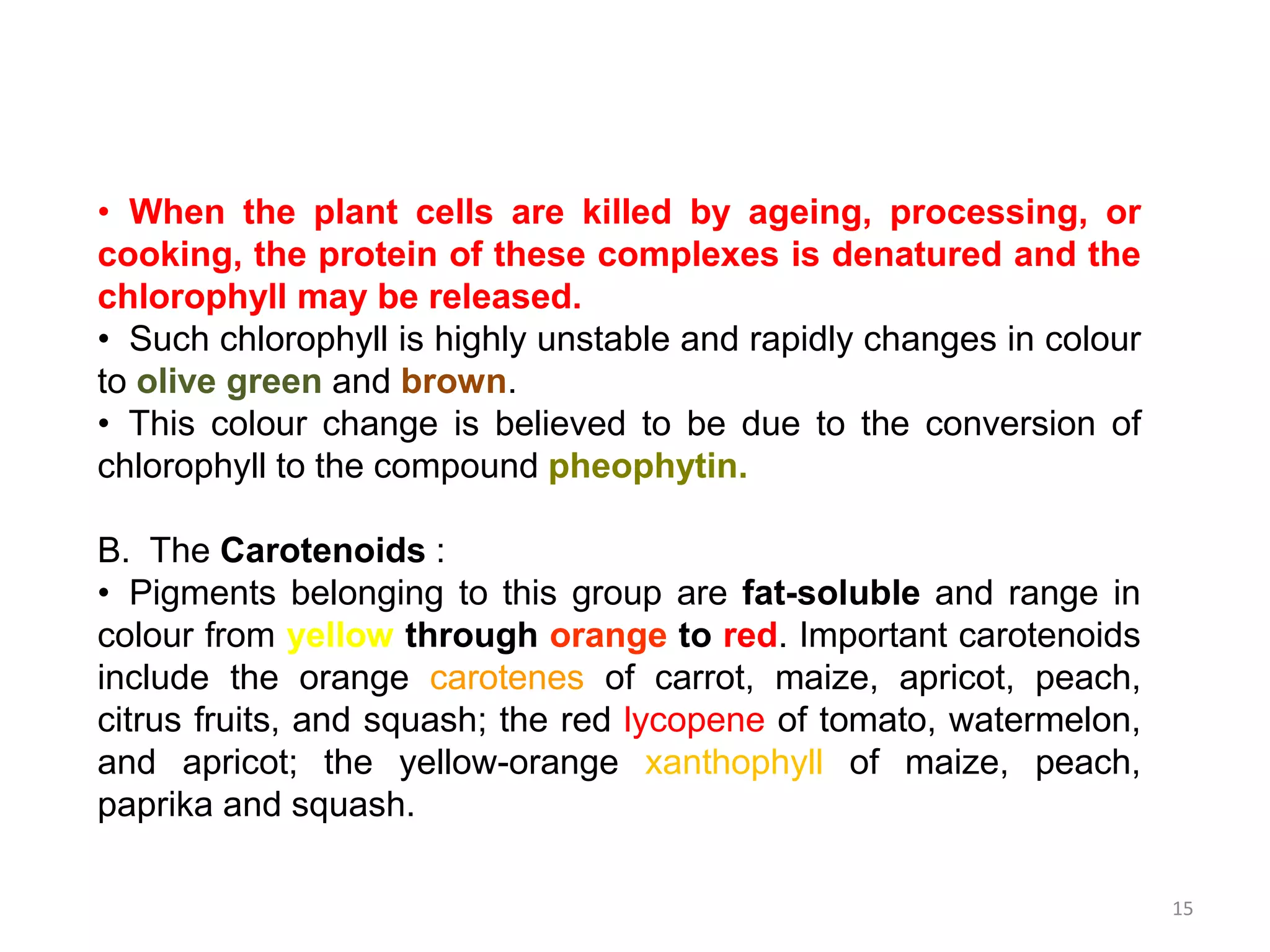 • When the plant cells are killed by ageing, processing, or
cooking, the protein of these complexes is denatured and the
chlorophyll may be released.
• Such chlorophyll is highly unstable and rapidly changes in colour
to olive green and brown.
• This colour change is believed to be due to the conversion of
chlorophyll to the compound pheophytin.
B. The Carotenoids :
• Pigments belonging to this group are fat-soluble and range in
colour from yellow through orange to red. Important carotenoids
include the orange carotenes of carrot, maize, apricot, peach,
citrus fruits, and squash; the red lycopene of tomato, watermelon,
and apricot; the yellow-orange xanthophyll of maize, peach,
paprika and squash.
15
 