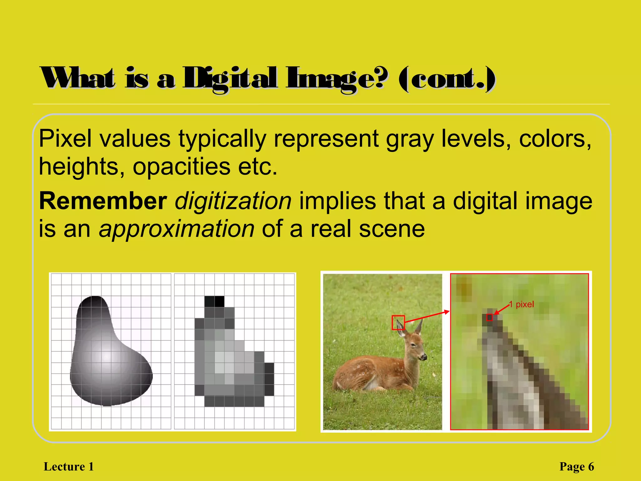 What is a Digital Image? (cont.)What is a Digital Image? (cont.)
Pixel values typically represent gray levels, colors,
heights, opacities etc.
Remember digitization implies that a digital image
is an approximation of a real scene
1 pixel
Lecture 1 Page 6
 