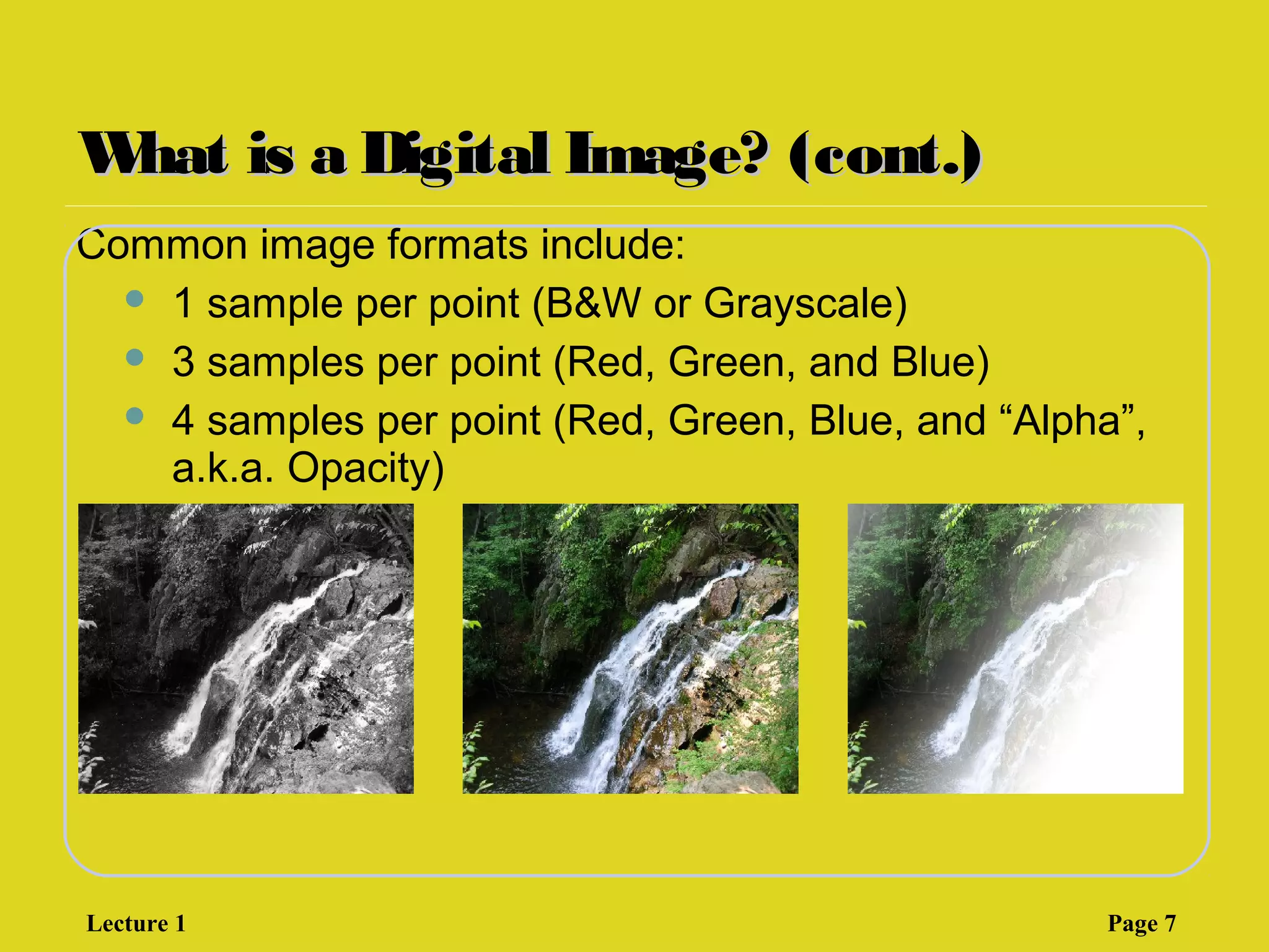 What is a Digital Image? (cont.)What is a Digital Image? (cont.)
Common image formats include:
 1 sample per point (B&W or Grayscale)
 3 samples per point (Red, Green, and Blue)
 4 samples per point (Red, Green, Blue, and “Alpha”,
a.k.a. Opacity)
Lecture 1 Page 7
 