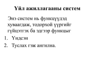 Үйл ажиллагааны систем
Энэ систем нь функцүүдэд
хуваагдаж, тодорхой үүргийг
гүйцэтгэх ба эдгээр функцыг
1. Үндсэн
2. Туслах гэж ангилна.
 