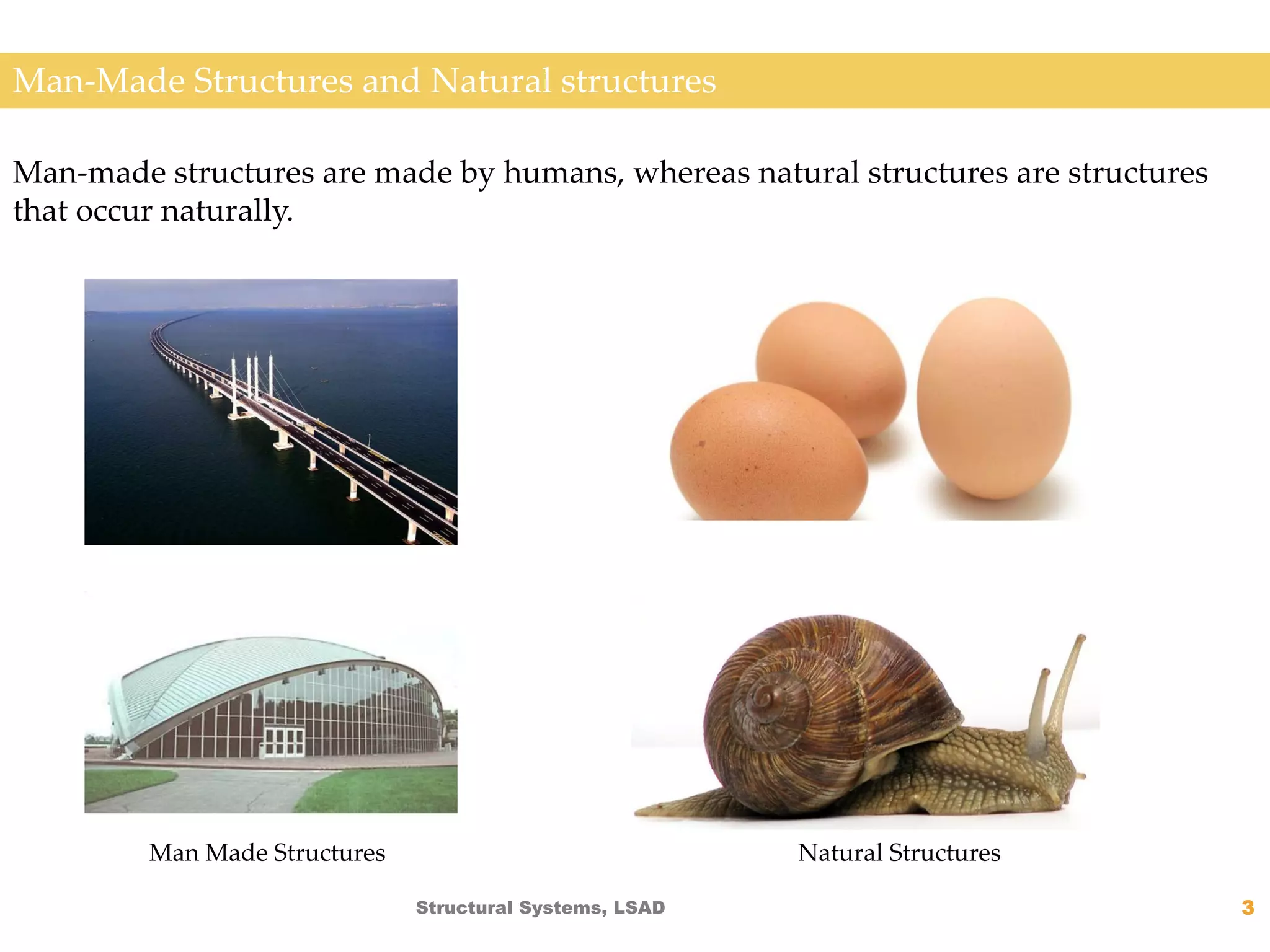 Lecture 1 Structure Systems Basics | PDF