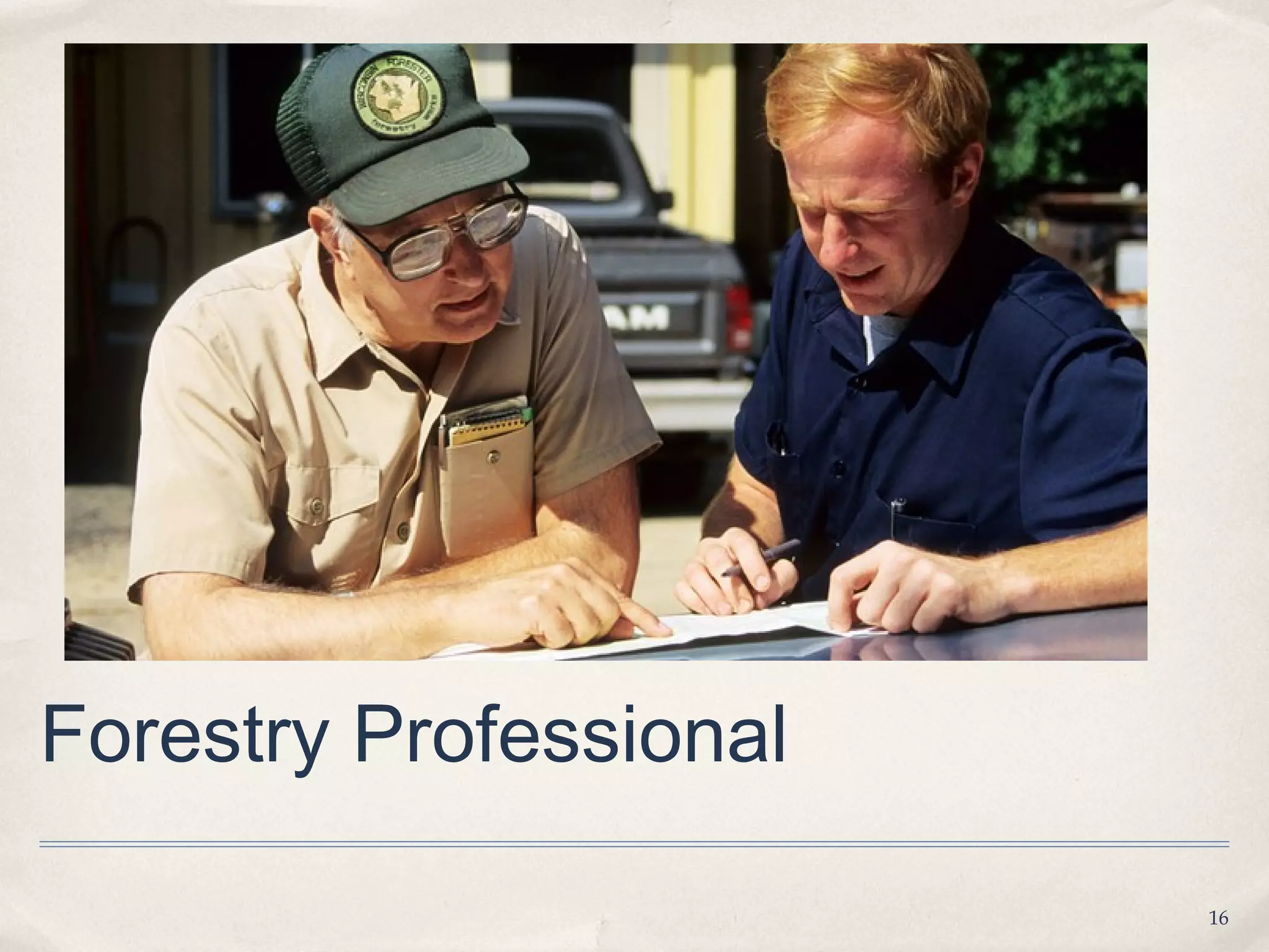 Forestry Professional

                        16
 