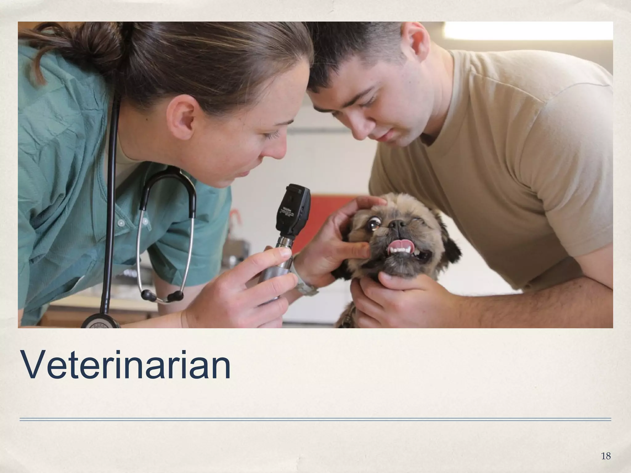 Veterinarian

               18
 