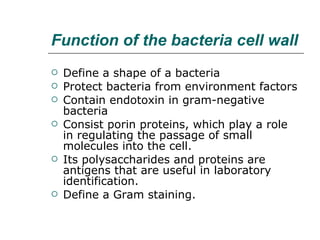 Function of the bacteria cell wall   Define a shape of a bacteria  Protect bacteria from environment factors Contain endotoxin in  gram-negative bacteria Consist porin proteins, which play a role in regulating the passage of small molecules into the cell. Its polysaccharides and proteins are antigens that are useful in laboratory identification. Define a Gram staining.  