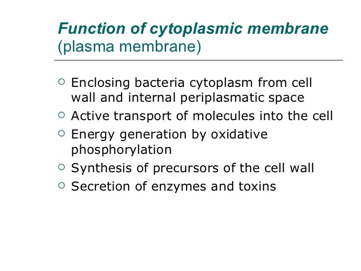 composition of ribosomes 70s Microbiology Bohomolets Lecture#1