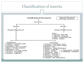 Introduction to medical entomology | PPTX
