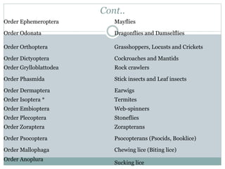Order Isoptera Insects Introduction to medical entomology | PPTX