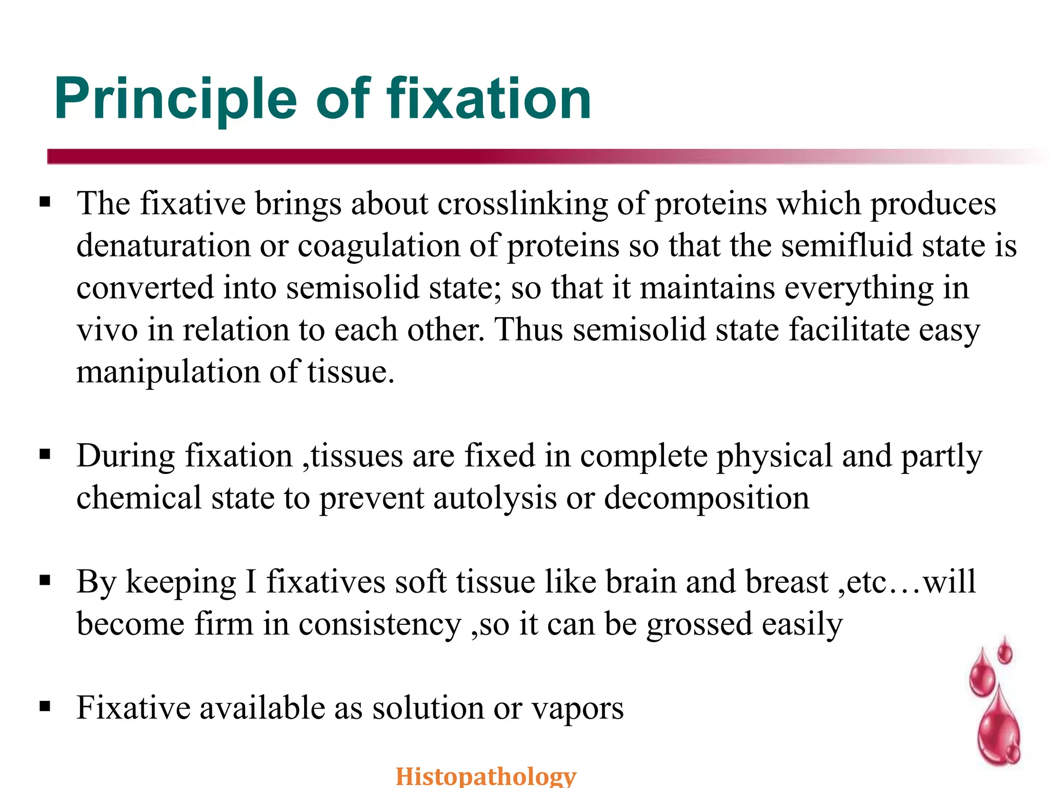 Principle of fixation
 The fixative brings about crosslinking of proteins which produces
denaturation or coagulation of proteins so that the semifluid state is
converted into semisolid state; so that it maintains everything in
vivo in relation to each other. Thus semisolid state facilitate easy
manipulation of tissue.
 During fixation ,tissues are fixed in complete physical and partly
chemical state to prevent autolysis or decomposition
 By keeping I fixatives soft tissue like brain and breast ,etc…will
become firm in consistency ,so it can be grossed easily
 Fixative available as solution or vapors
Histopathology
 