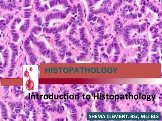 Lecture 1.introduction to histopathology ii | PPTX