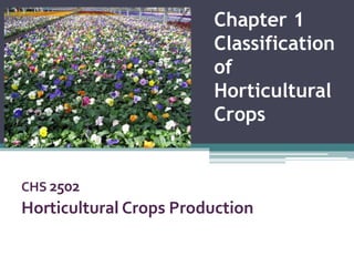 Chapter 1
Classification
of
Horticultural
Crops
CHS 2502
Horticultural Crops Production
 