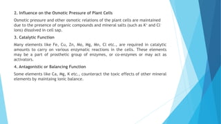 2. Influence on the Osmotic Pressure of Plant Cells
Osmotic pressure and other osmotic relations of the plant cells are maintained
due to the presence of organic compounds and mineral salts (such as K+ and Cl-
ions) dissolved in cell sap.
3. Catalytic Function
Many elements like Fe, Cu, Zn, Mo, Mg, Mn, Cl etc., are required in catalytic
amounts to carry on various enzymatic reactions in the cells. These elements
may be a part of prosthetic group of enzymes, or co-enzymes or may act as
activators.
4. Antagonistic or Balancing Function
Some elements like Ca, Mg, K etc., counteract the toxic effects of other mineral
elements by maintaing ionic balance.
 