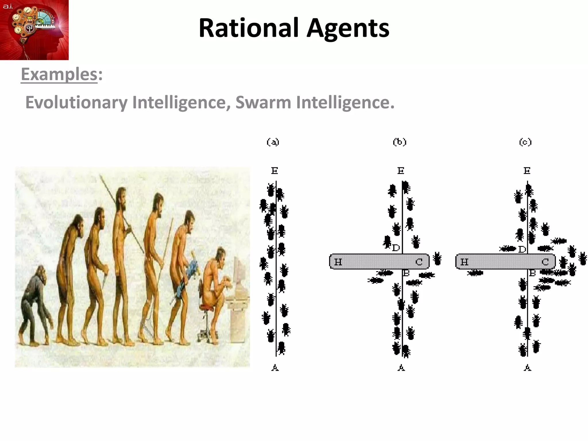 Rational Agents
Examples:
Evolutionary Intelligence, Swarm Intelligence.
 