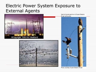 Electric Power System Exposure to
External Agents
 