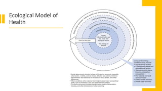Ecological Model of
Health
 