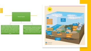 Natural Capital
Natural Resources - materials and
energy in nature that are essential or
useful to humans. These resources are
often classified as renewable (such as
air, water, soil, plants, and wind) or
nonrenewable (such as copper, oil, and
coal).
Natural Services - functions of nature,
such as purification of air and water,
which support life and human
economies. Ecosystems provide us with
these essential services at no cost
 