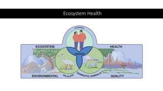 Ecosystem Health
 