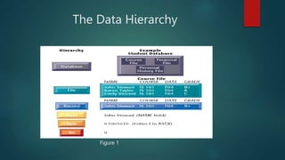 The Data Hierarchy
Figure 1
 