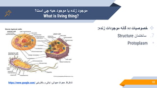‫است؟‬ ‫چی‬ ‫حیه‬ ‫موجود‬ ‫یا‬ ‫زنده‬ ‫موجود‬
What is living thing?
12

‫زنده‬ ‫موجودات‬ ‫گانه‬ ‫ده‬ ‫خصوصیات‬
:
.7
‫ساختمان‬
Structure
•
Protoplasm
‫شکل‬
9
.
‫حجرات‬
،‫حیوانی‬
‫نباتی‬
‫و‬
‫باکتریایی‬
https://www.google.com/
 
