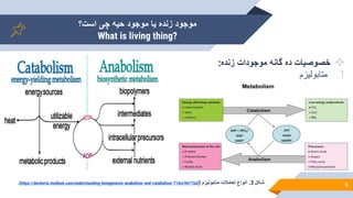 ‫است؟‬ ‫چی‬ ‫حیه‬ ‫موجود‬ ‫یا‬ ‫زنده‬ ‫موجود‬
What is living thing?

‫زنده‬ ‫موجودات‬ ‫گانه‬ ‫ده‬ ‫خصوصیات‬
:
.1
‫متابولیزم‬
5
‫شکل‬
3
.
‫انواع‬
‫تعامالت‬
‫متابولیزم‬
(
https://deckerst.medium.com/understanding-ketogenesis-anabolism-and-catabolism-710cc96715af
)
.
 