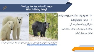 ‫است؟‬ ‫چی‬ ‫حیه‬ ‫موجود‬ ‫یا‬ ‫زنده‬ ‫موجود‬
What is living thing?
9

‫زنده‬ ‫موجودات‬ ‫گانه‬ ‫ده‬ ‫خصوصیات‬
:
.4
‫توافق‬
Adaptation
‫گی‬ ‫زنده‬ ‫محیط‬ ‫با‬ ‫سازگاری‬
،‫ساختمانی‬ ‫توافق‬ ،‫فزیولوژیکی‬ ‫توافق‬
‫مورفولوژیکی‬ ‫توافق‬
‫شکل‬
6
:
‫خرس‬
‫ها‬
‫مناطق‬
‫گرم‬
(
‫الف‬
)
‫و‬
‫مناطق‬
‫سرد‬
(
‫ب‬
)
‫بمنظور‬
‫توافق‬
‫محیط‬
‫رنگ‬
‫های‬
‫جلد‬
‫شان‬
‫متغیر‬
‫است‬
.
https://www.hamshahrionline.ir/news/692966/
‫الف‬
‫ب‬
 