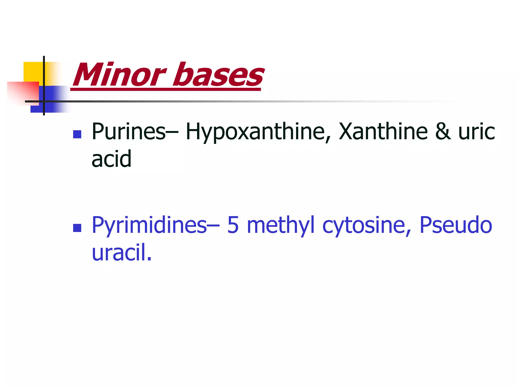 Minor bases
 Purines– Hypoxanthine, Xanthine & uric
acid
 Pyrimidines– 5 methyl cytosine, Pseudo
uracil.
 