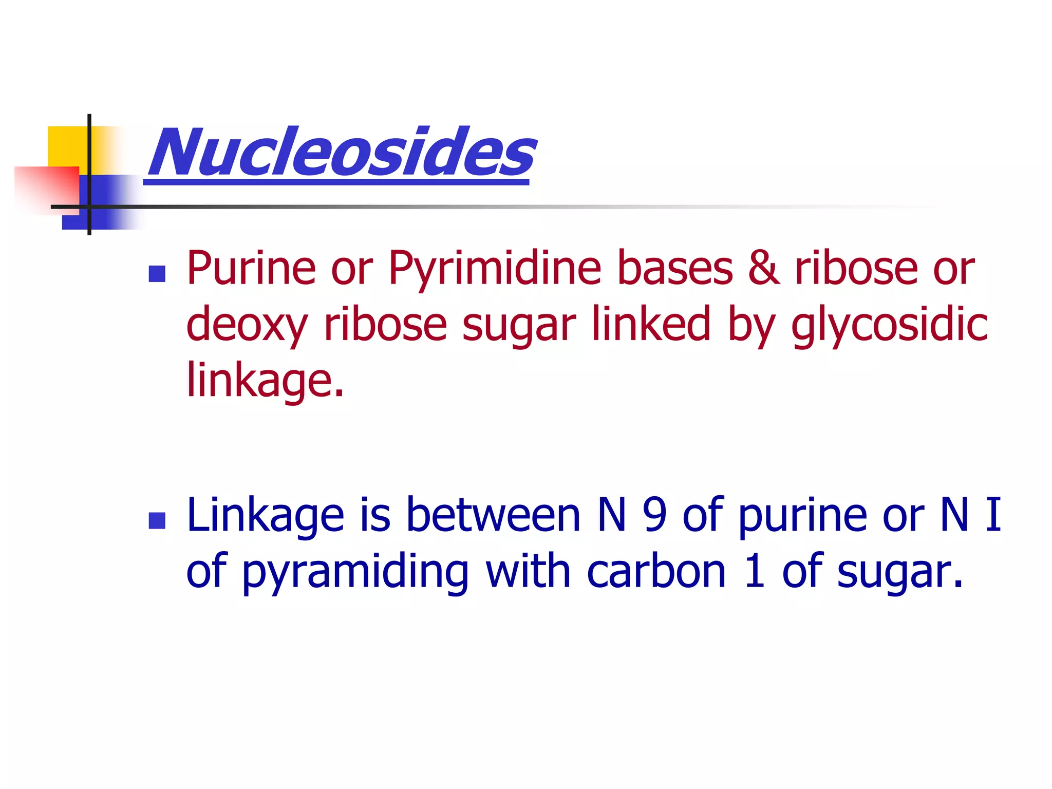 Nucleosides
 Purine or Pyrimidine bases & ribose or
deoxy ribose sugar linked by glycosidic
linkage.
 Linkage is between N 9 of purine or N I
of pyramiding with carbon 1 of sugar.
 