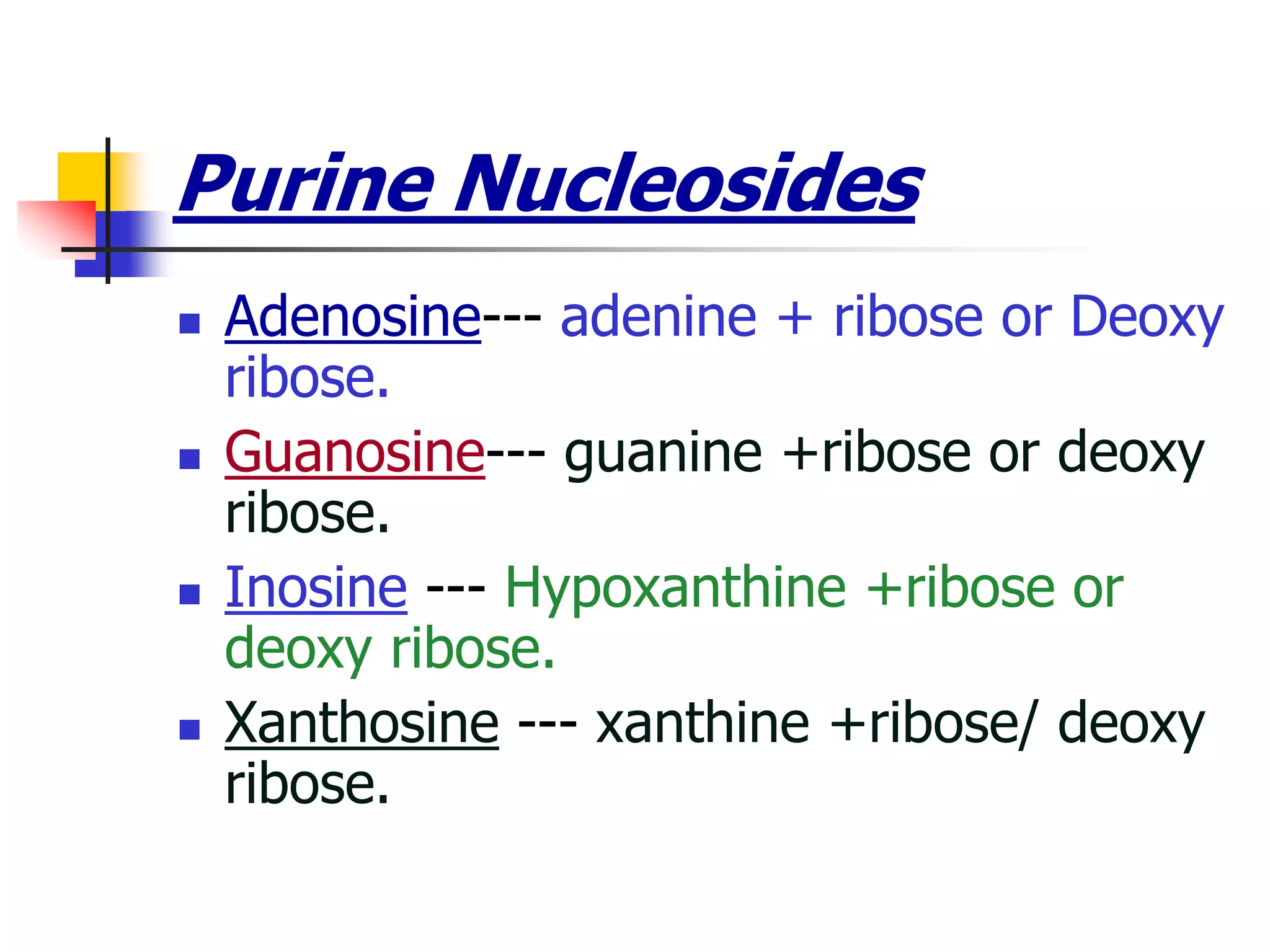 Purine Nucleosides
 Adenosine--- adenine + ribose or Deoxy
ribose.
 Guanosine--- guanine +ribose or deoxy
ribose.
 Inosine --- Hypoxanthine +ribose or
deoxy ribose.
 Xanthosine --- xanthine +ribose/ deoxy
ribose.
 