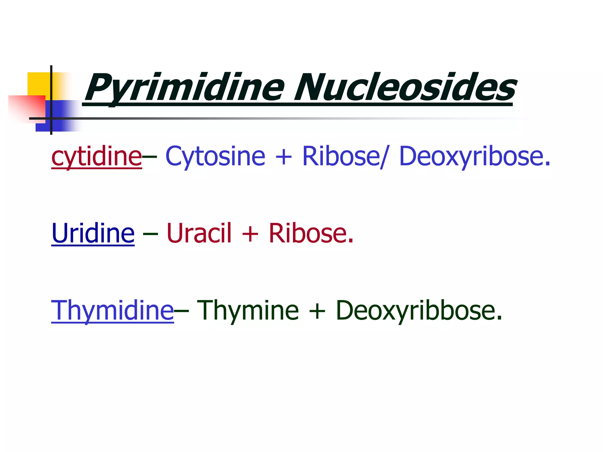 Pyrimidine Nucleosides
cytidine– Cytosine + Ribose/ Deoxyribose.
Uridine – Uracil + Ribose.
Thymidine– Thymine + Deoxyribbose.
 