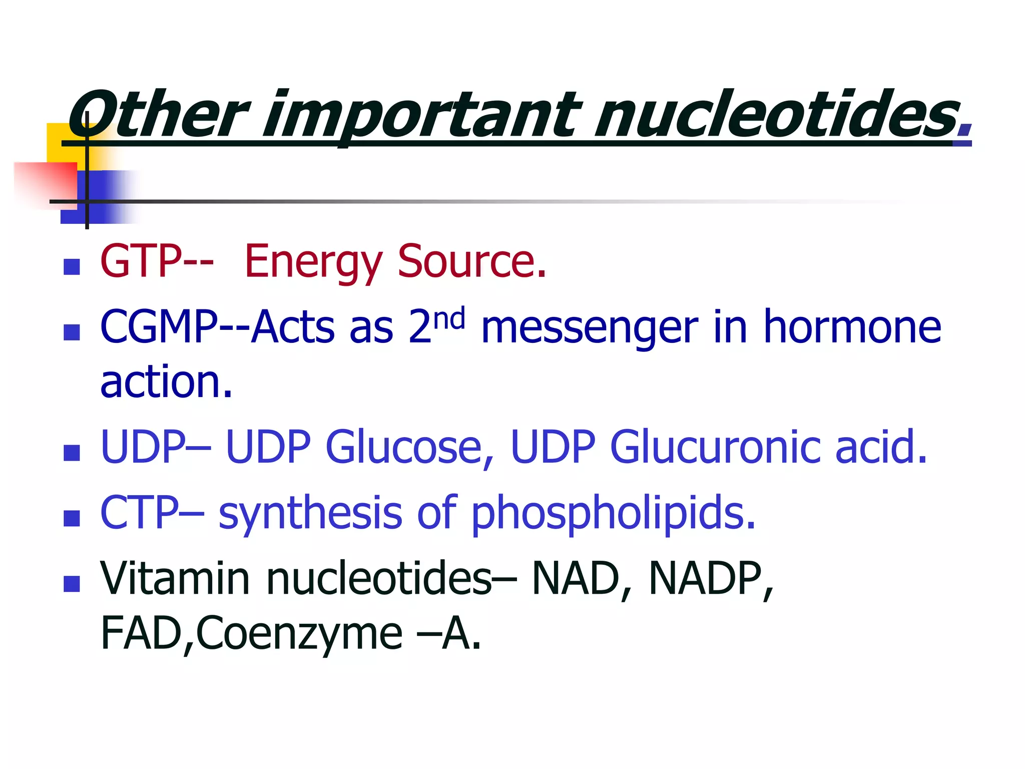 Other important nucleotides.
 GTP-- Energy Source.
 CGMP--Acts as 2nd messenger in hormone
action.
 UDP– UDP Glucose, UDP Glucuronic acid.
 CTP– synthesis of phospholipids.
 Vitamin nucleotides– NAD, NADP,
FAD,Coenzyme –A.
 