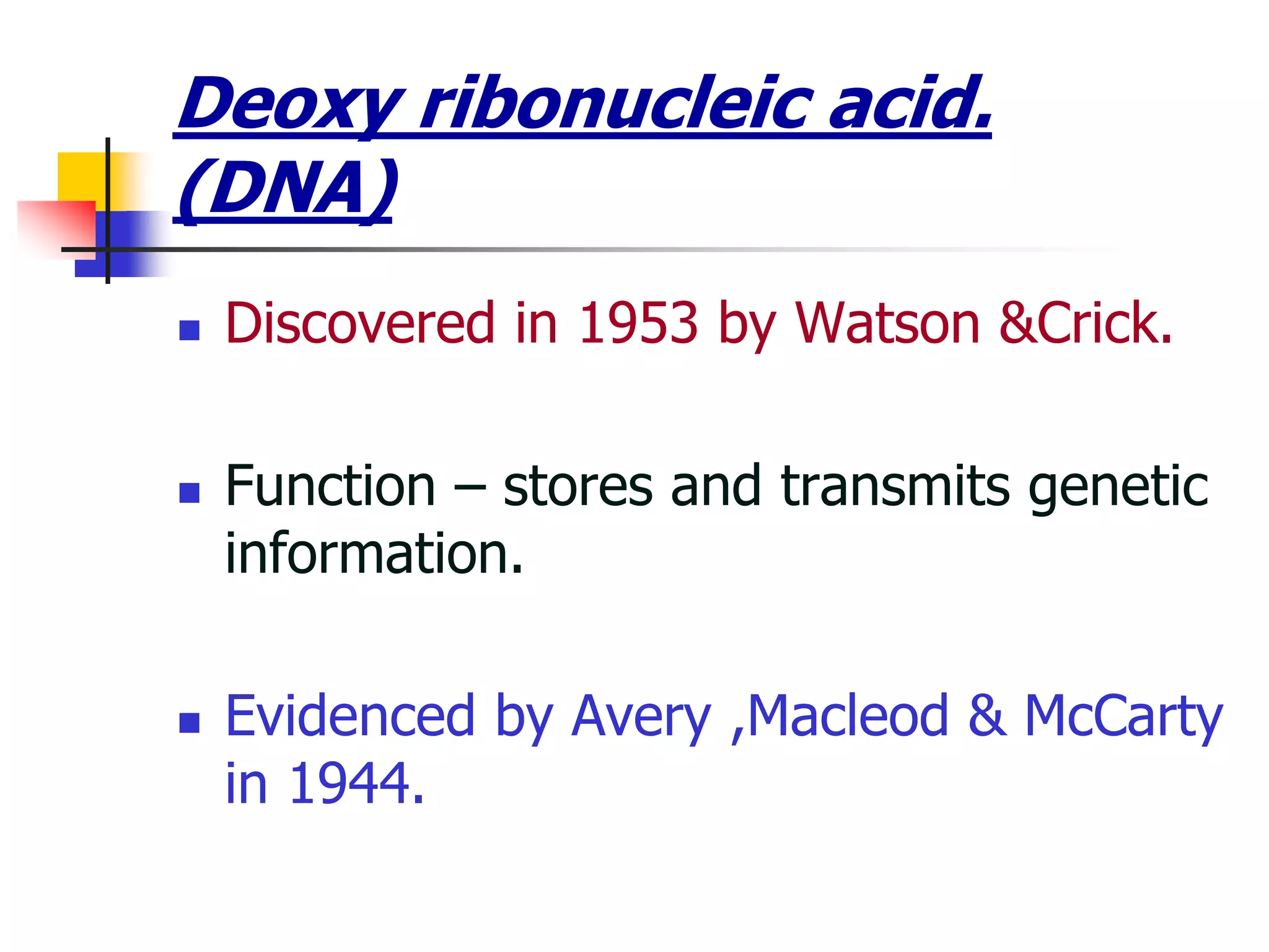 Deoxy ribonucleic acid.
(DNA)
 Discovered in 1953 by Watson &Crick.
 Function – stores and transmits genetic
information.
 Evidenced by Avery ,Macleod & McCarty
in 1944.
 