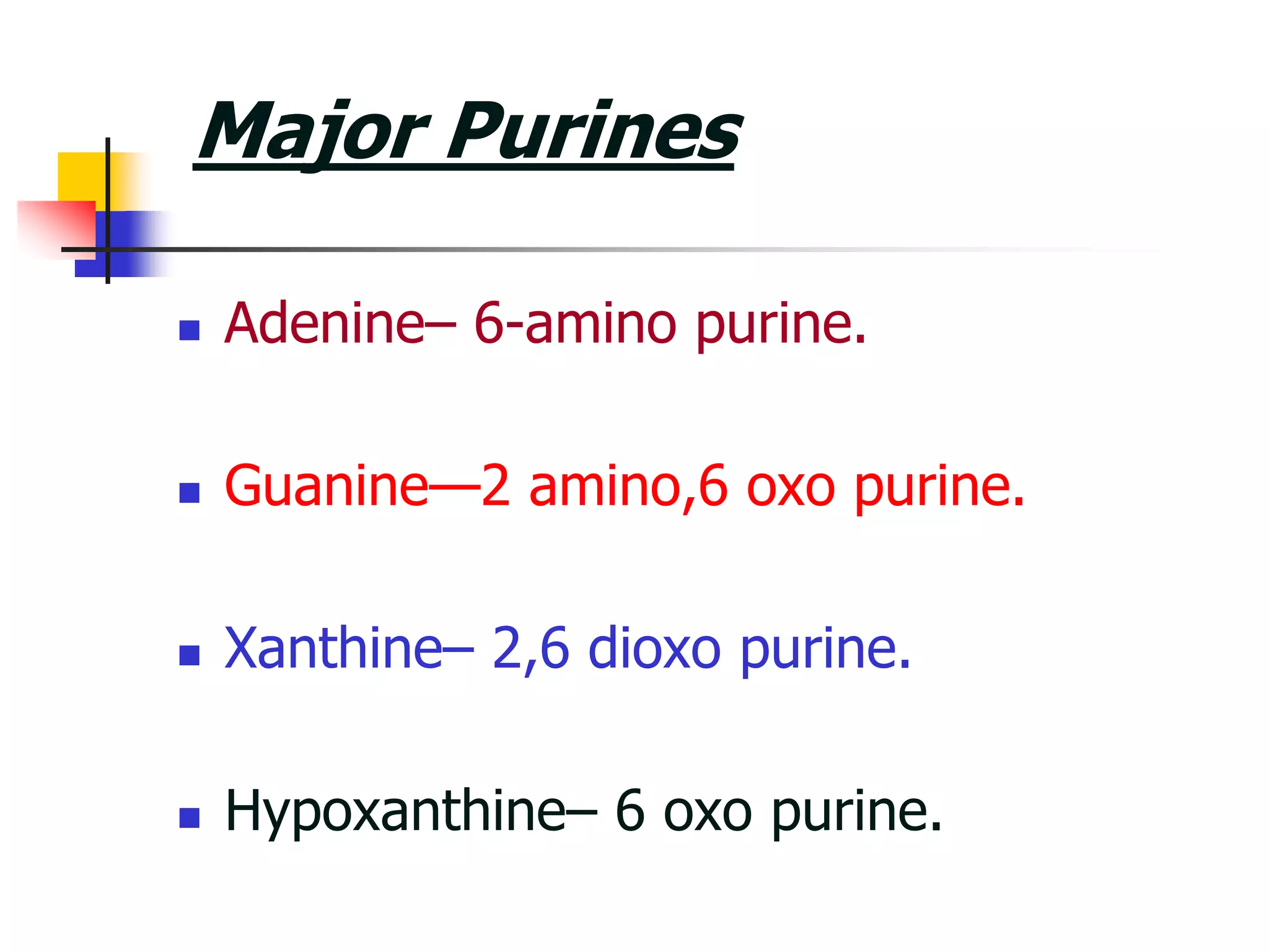 Major Purines
 Adenine– 6-amino purine.
 Guanine—2 amino,6 oxo purine.
 Xanthine– 2,6 dioxo purine.
 Hypoxanthine– 6 oxo purine.
 