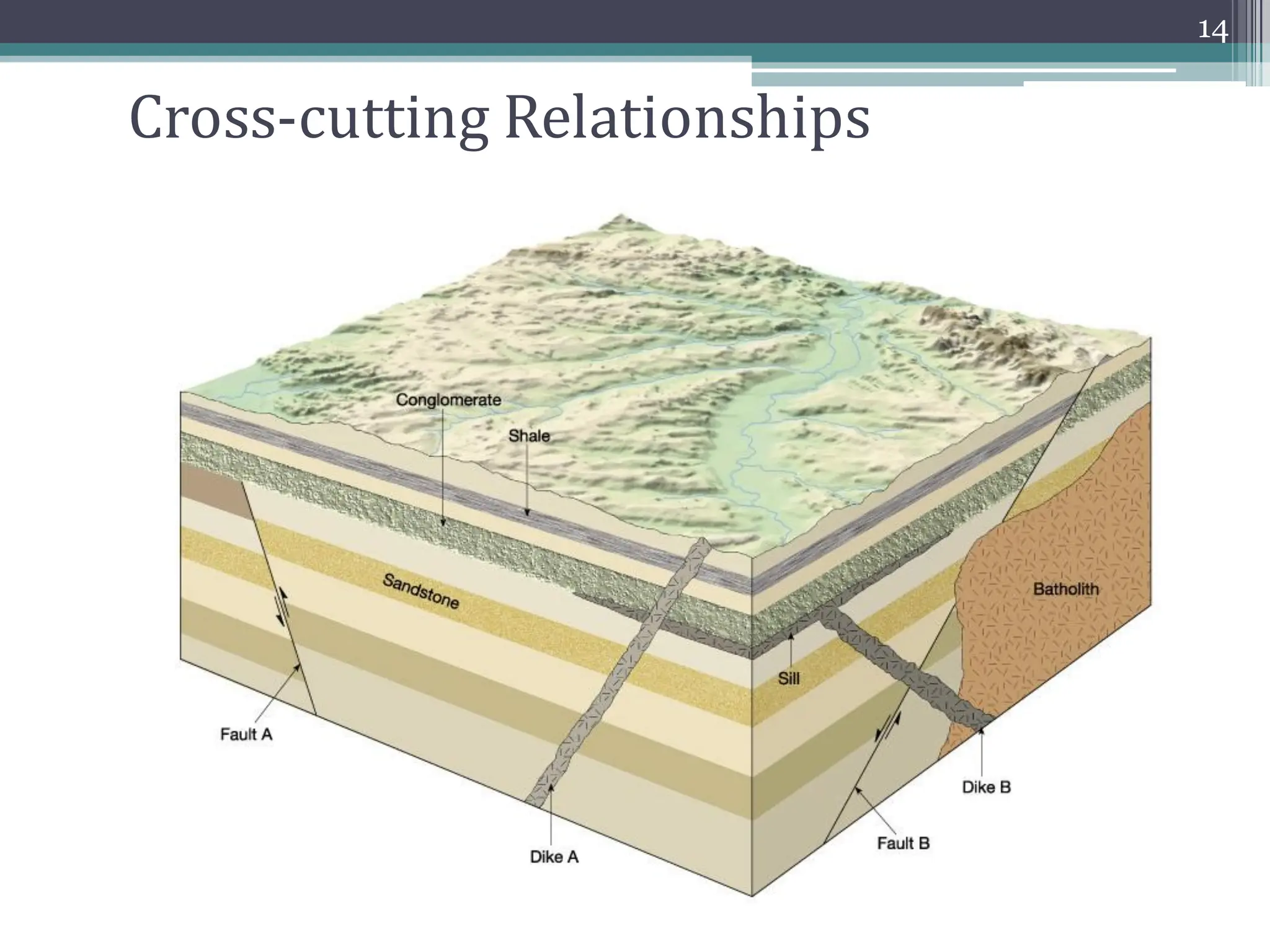 Cross-cutting Relationships
14
 