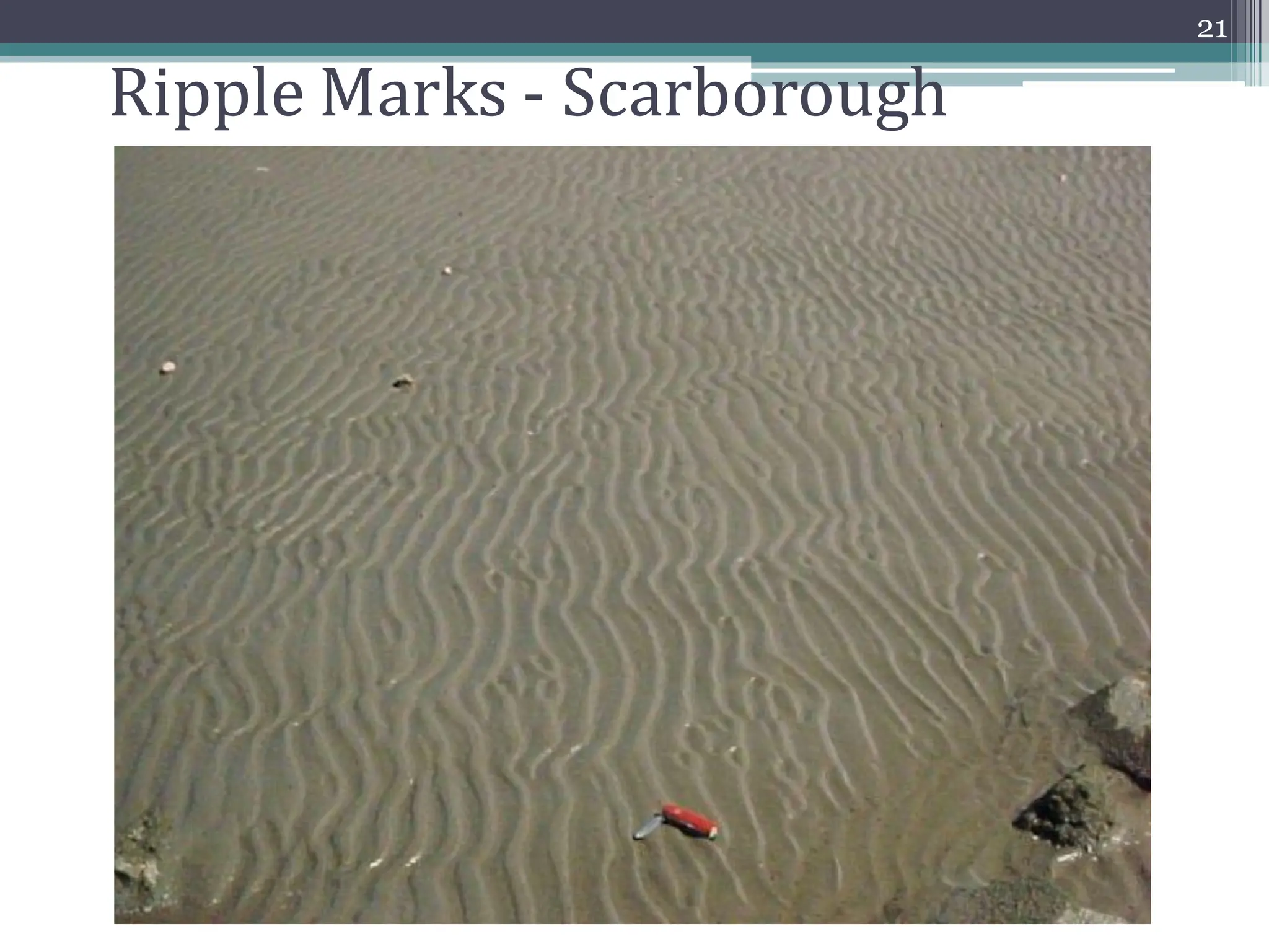 Ripple Marks - Scarborough
21
 