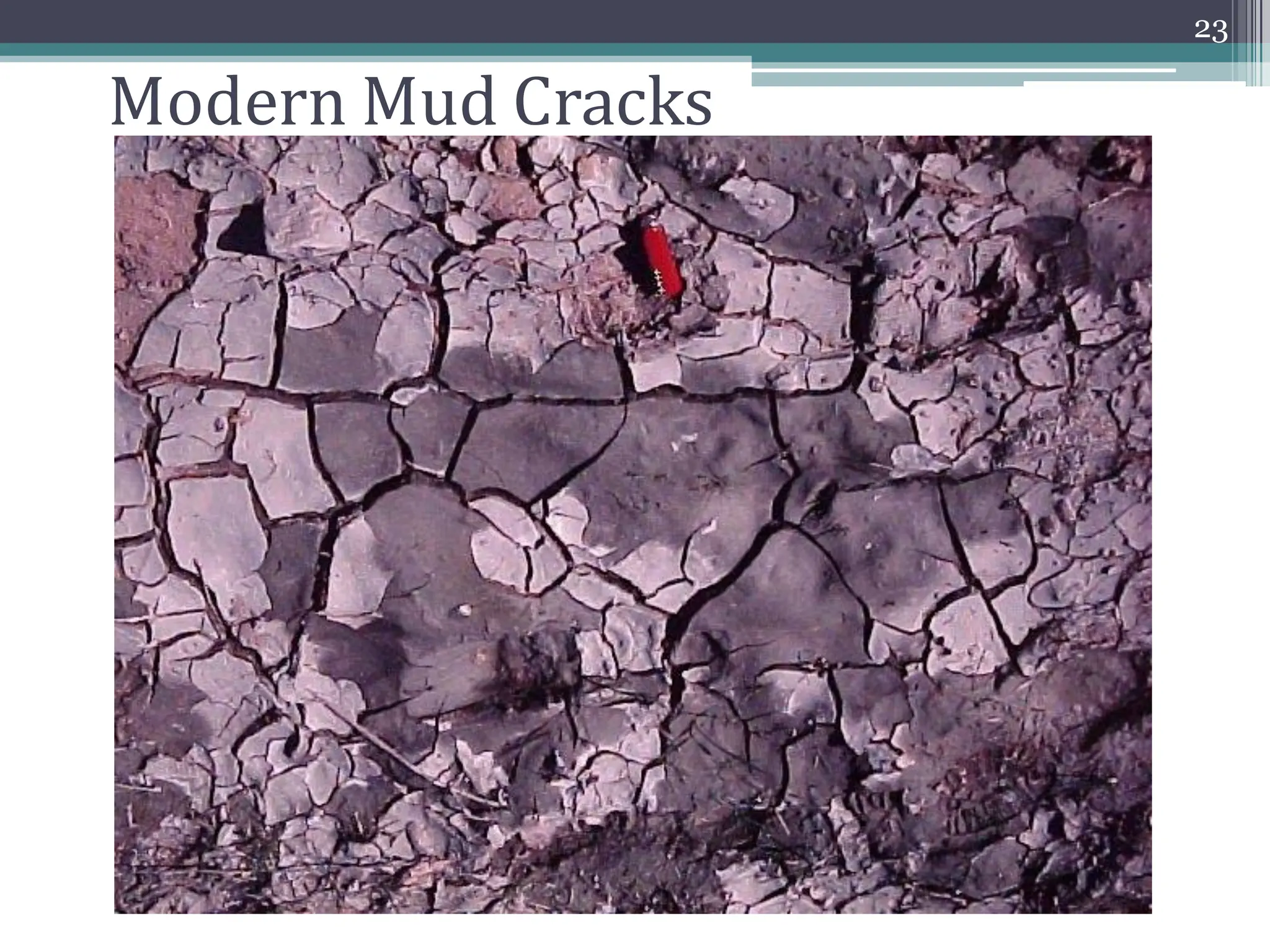 Modern Mud Cracks
23
 