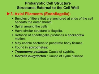Lecture 1. Introduction to Medical Microbiology.pdf