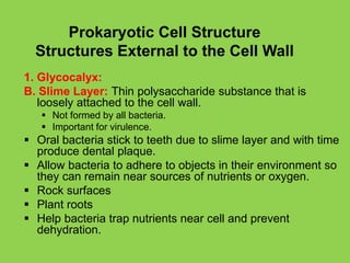 Lecture 1. Introduction to Medical Microbiology.pdf